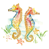 Seahorse Duo